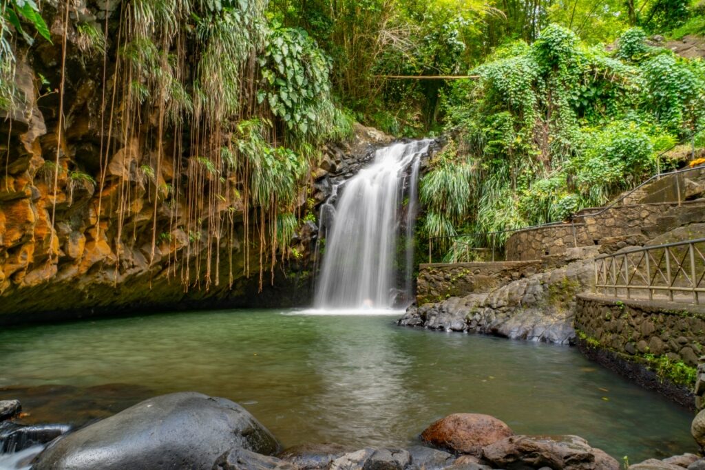 View of the majestic Annandale Falls