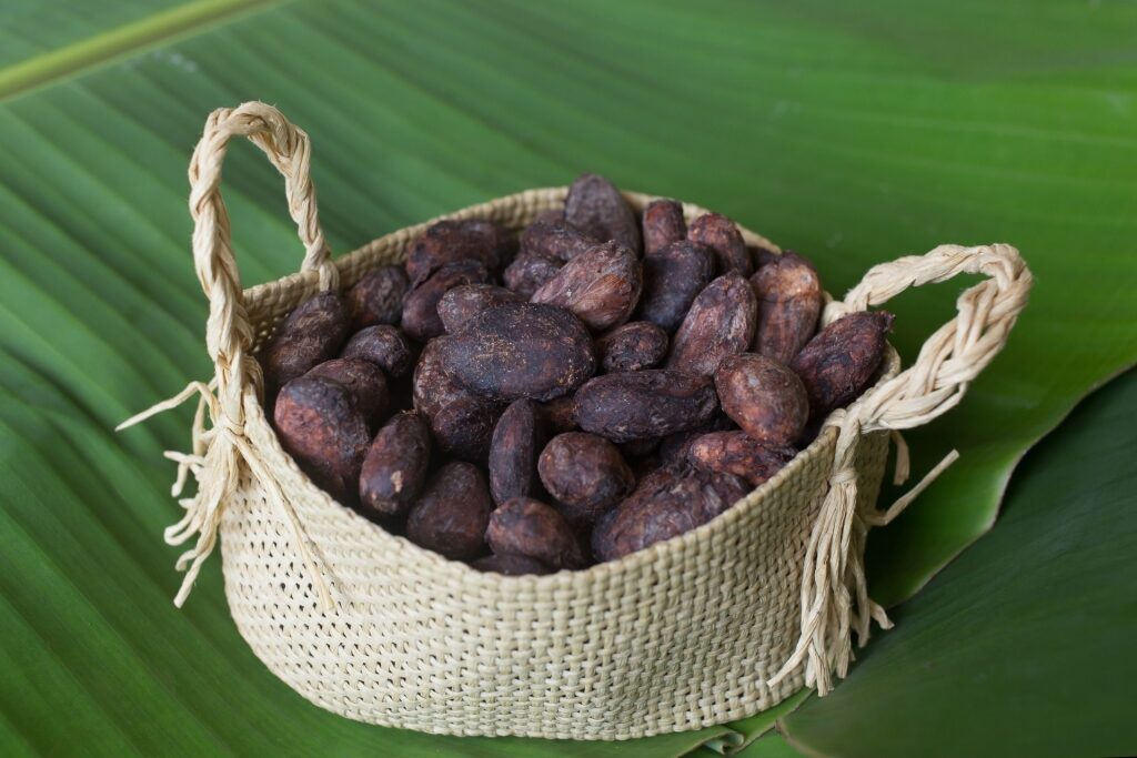 Cocoa beans in a basket