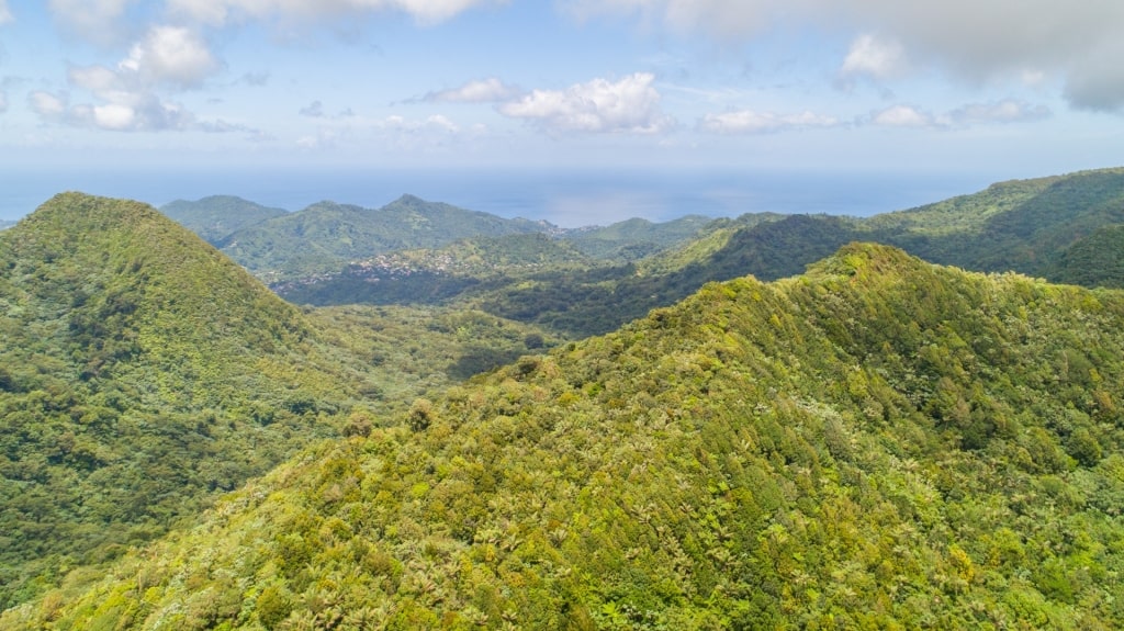 Lush landscape of Grand Etang National Park and Forest Reserve