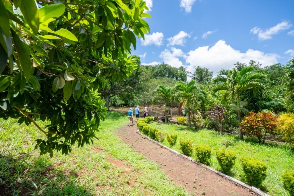 People exploring the Laura’s Herb and Spice Garden