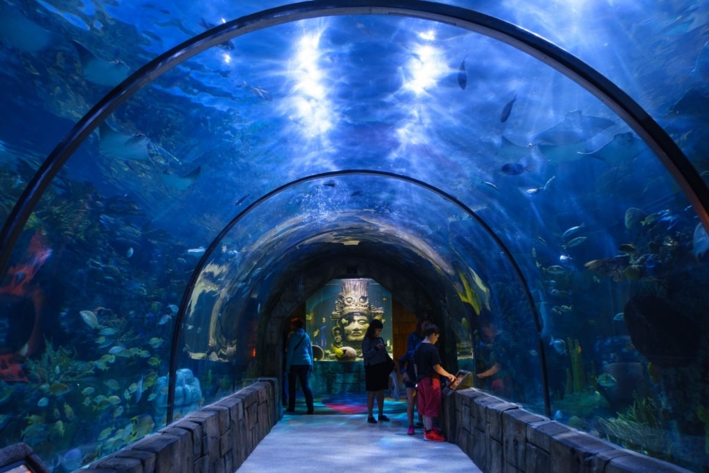 Marine life as seen inside Audubon Aquarium of the Americas