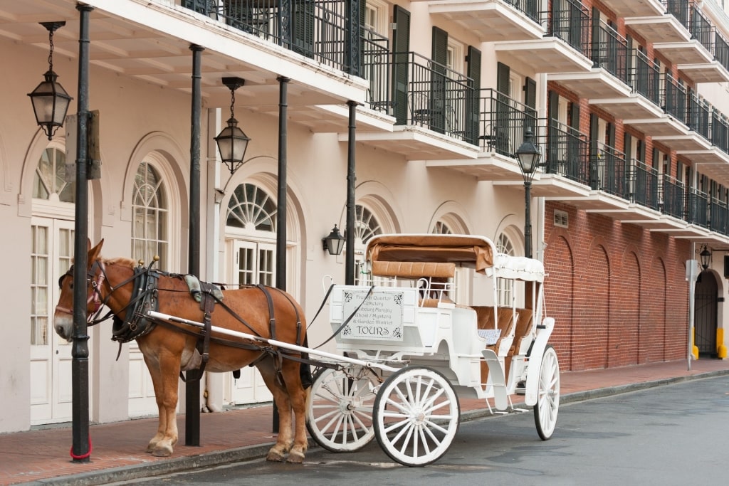 Carriage tour around French Quarter