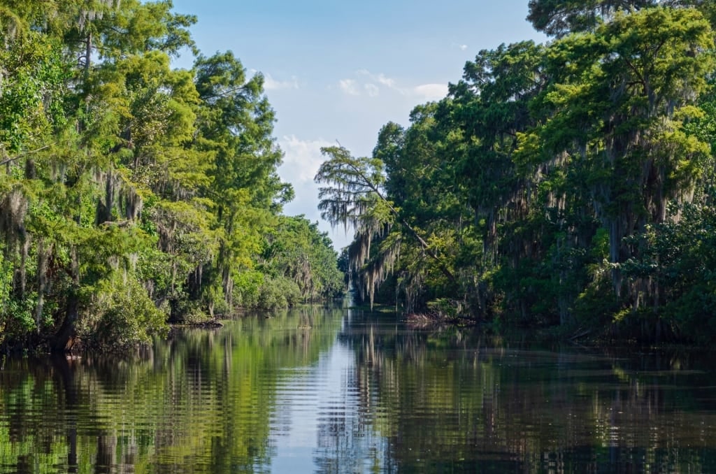 View while exploring Jean Lafitte National Park