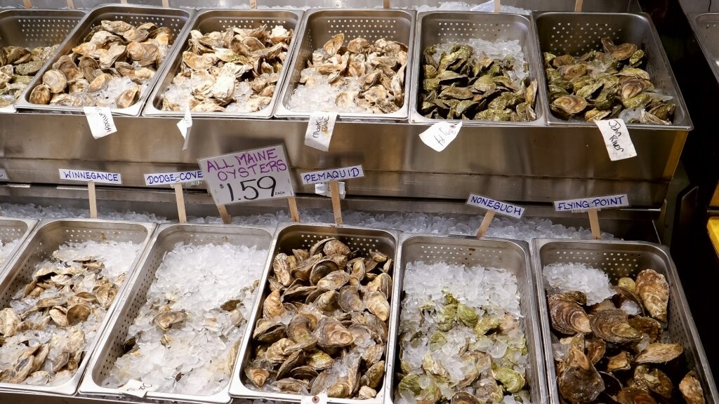 Fresh oysters displayed at a market