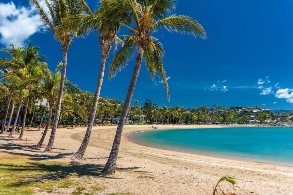 Sandy beach of Airlie Beach