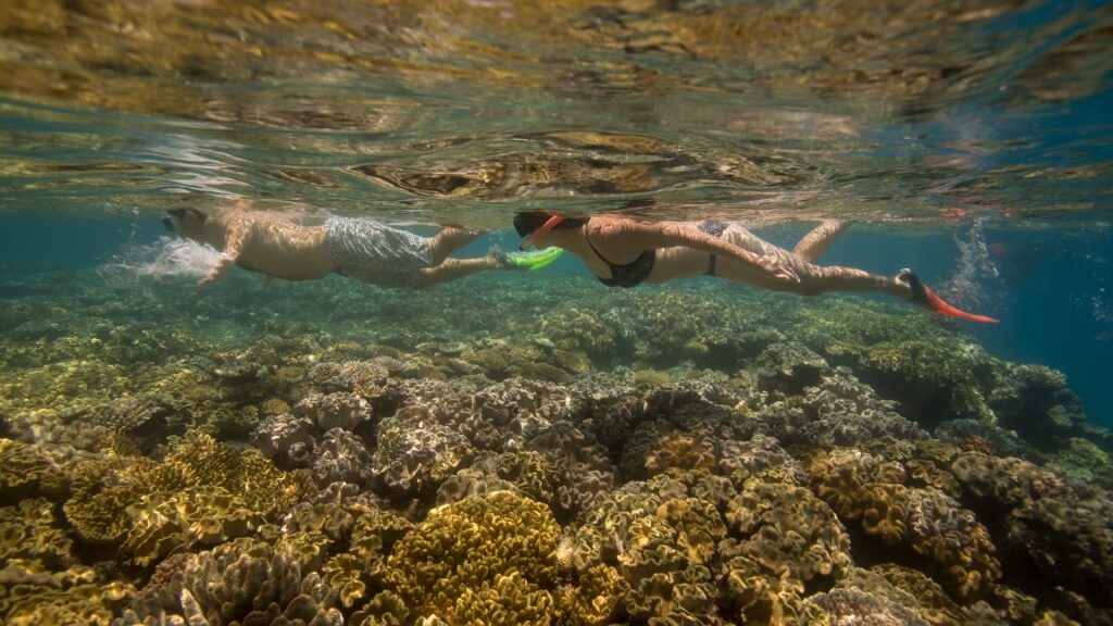 Couple snorkeling in the Great Barrier Reef, Australia