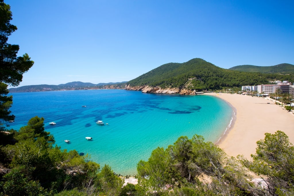 Fine sands of Cala de Sant Vicent