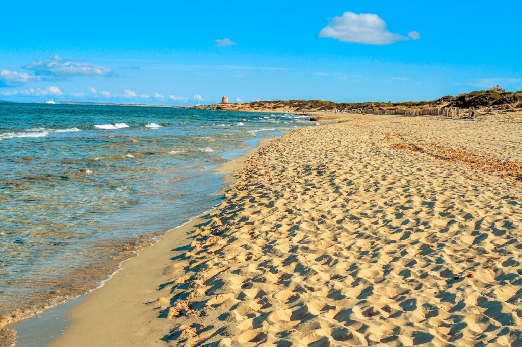 Fine sands of Es Cavallet Beach