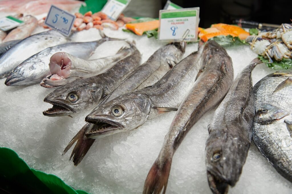 Fishes for sale in Barceloneta Market