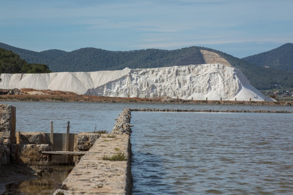 Salt flats of Las Salinas Natural Park