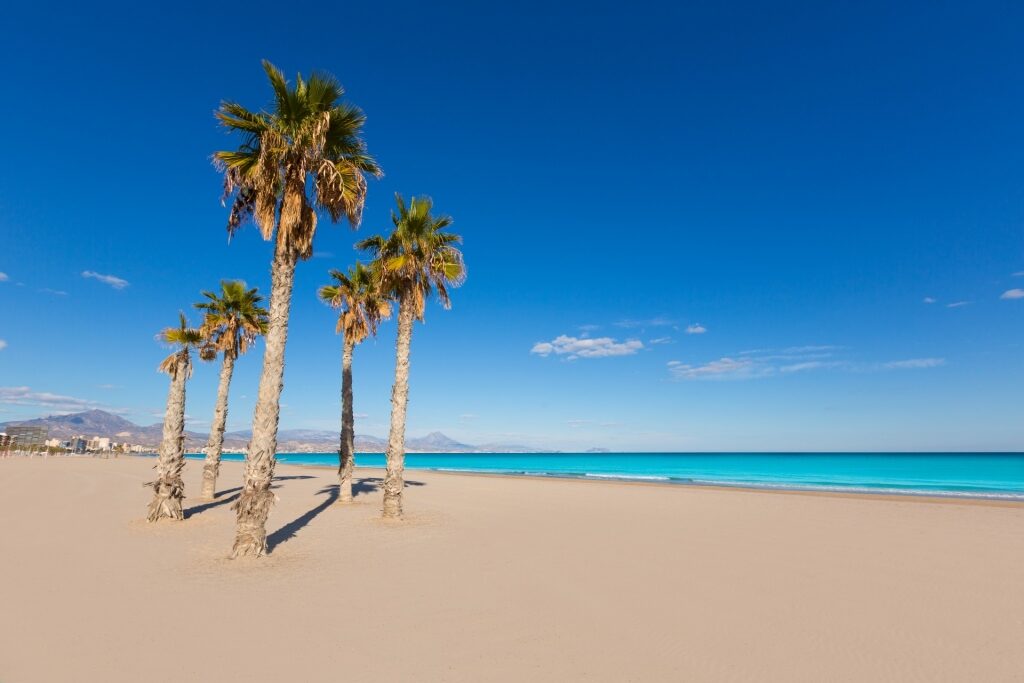Fine sands of San Juan Beach, Alicante