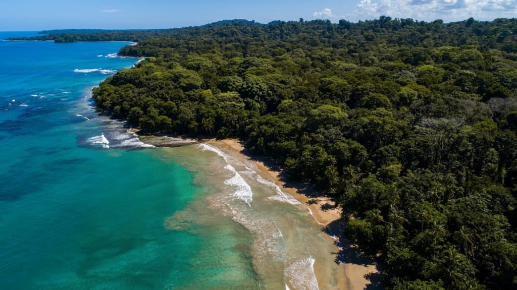 Lush view of Punta Uva Beach, near Puerto Limón, Costa Rica