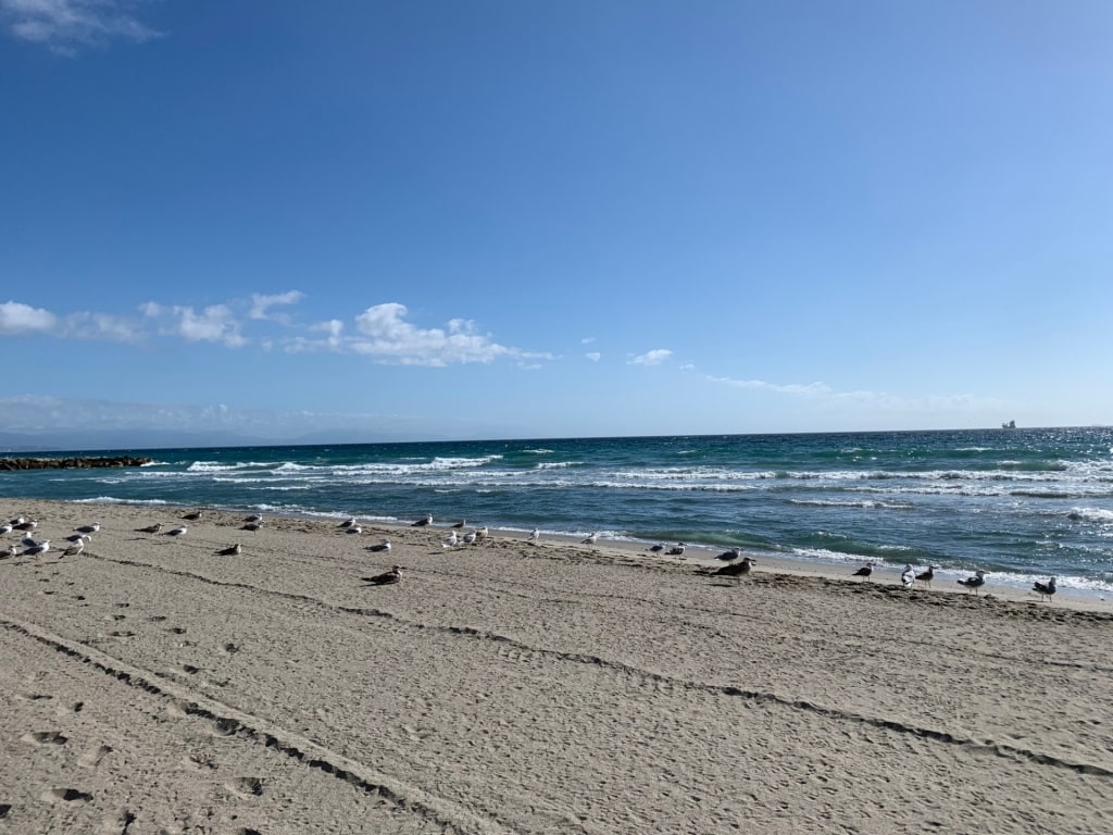 Sandy beach of Playa de Levante