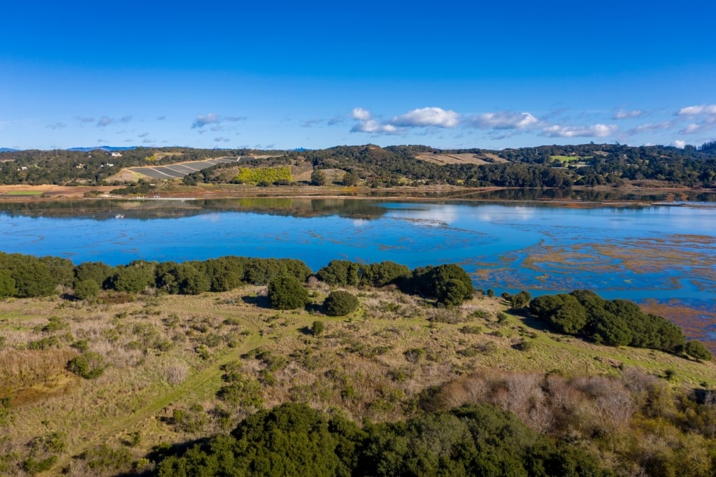 Lush landscape of Elkhorn Slough Estuarine Reserve