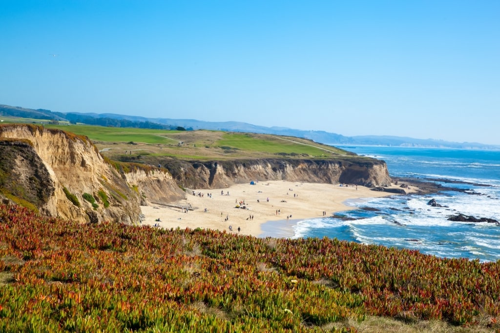 Cliffside views of Half Moon Bay, San Francisco