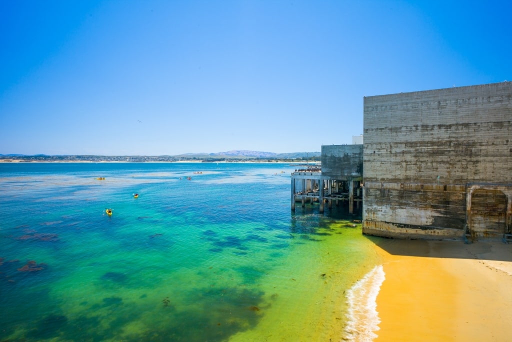 Monterey Bay, one of the best places to go kayaking in California