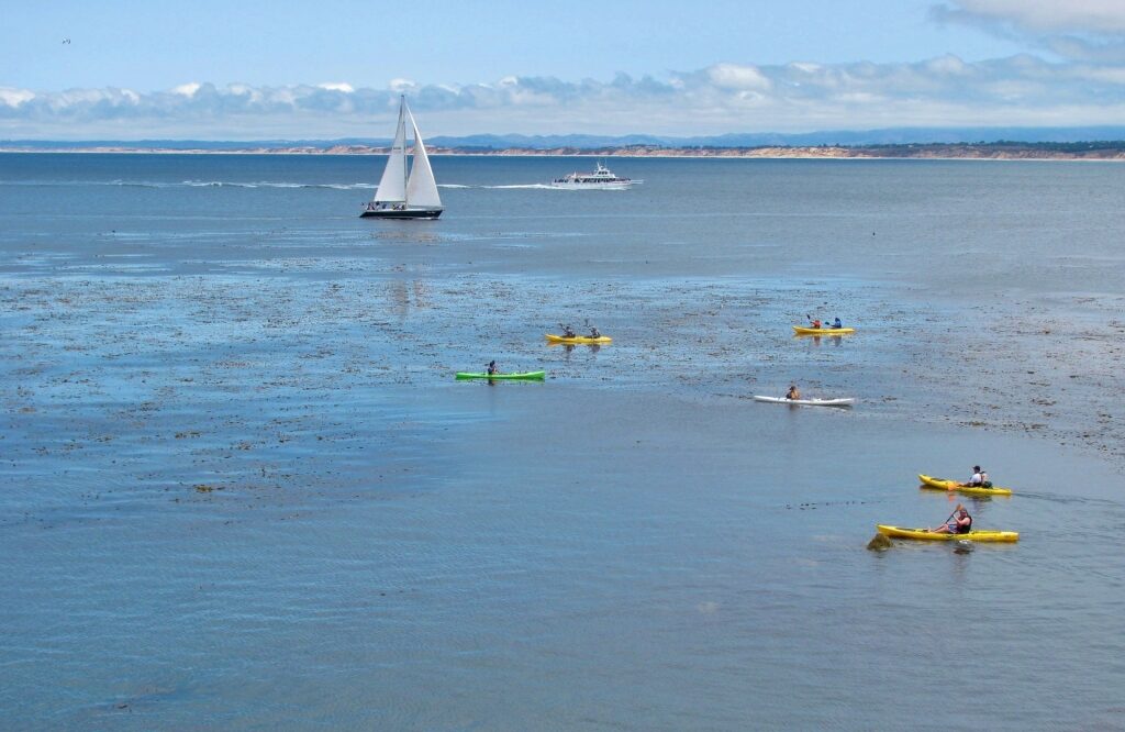 People kayaking in Santa Barbara Harbor