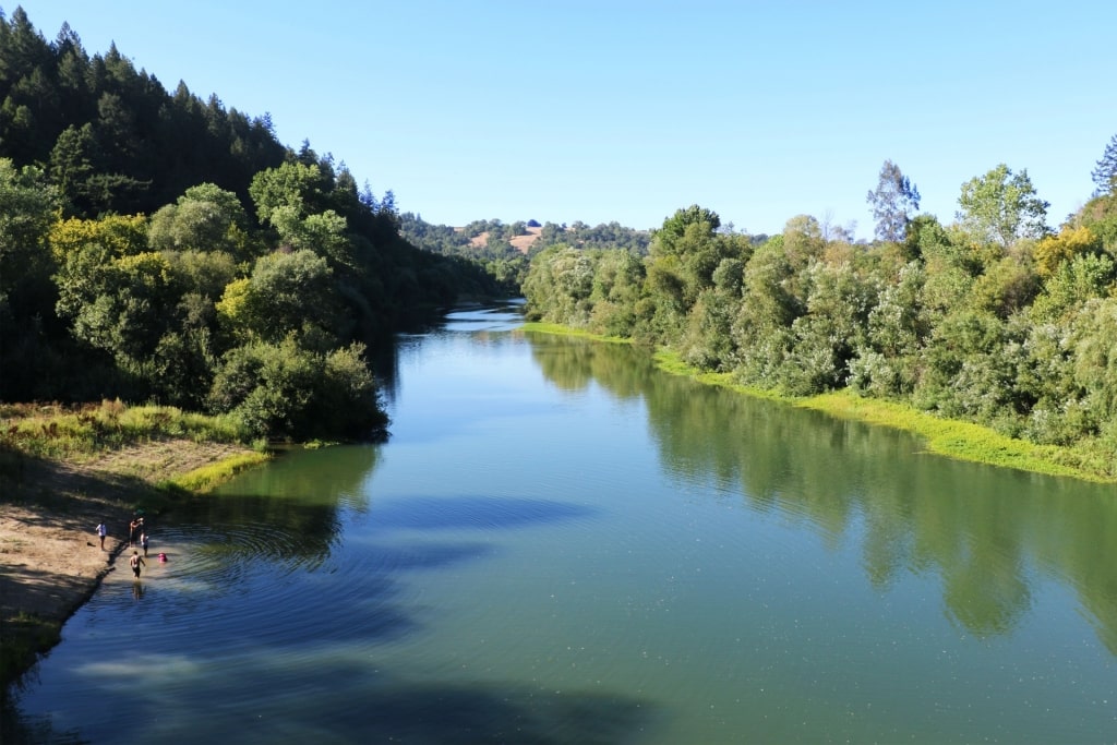 Lush landscape of The Russian River, near San Francisco