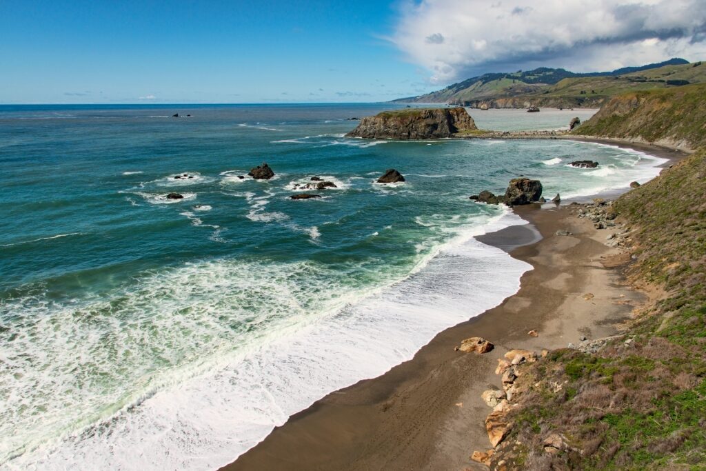 Large waves in Goat Rock Beach, near San Francisco