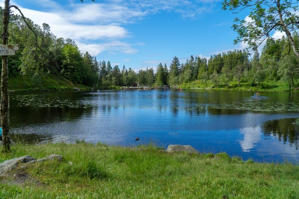 Greenery surrounding Lake Skomakerdiket