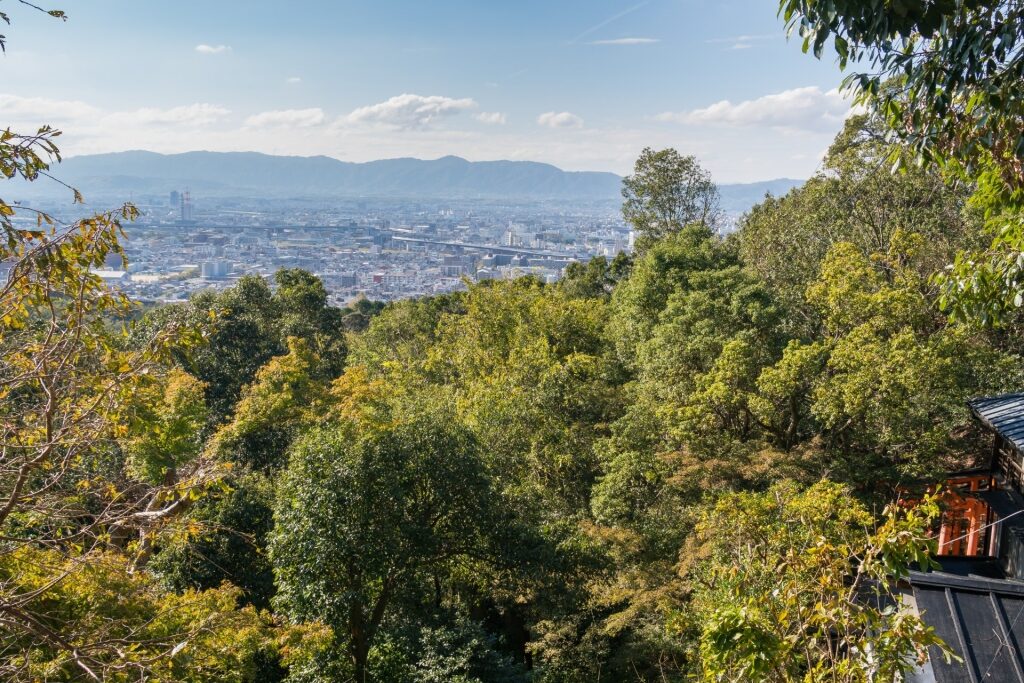 Lush landscape view from Mt. Inari, Kyoto