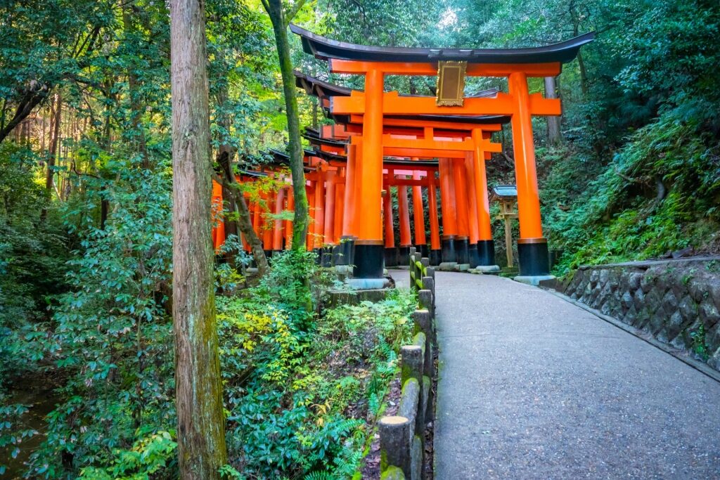Hiking path to Fushimi Inari Shrine, Kyoto