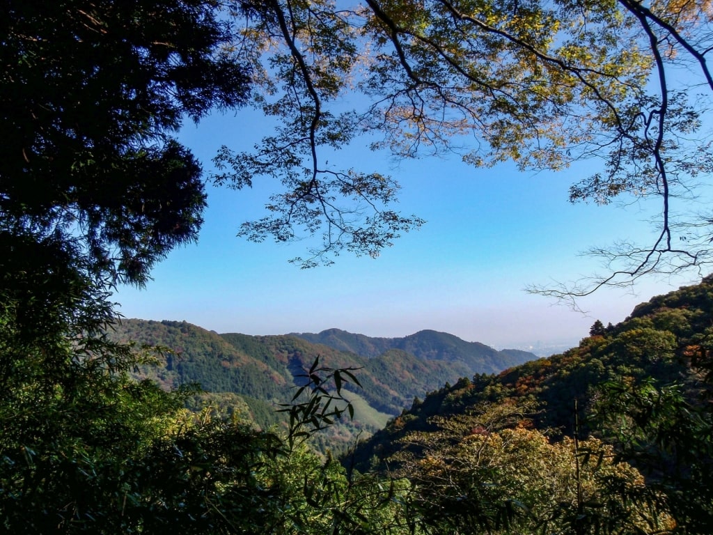 View from Mt. Takao, Tokyo