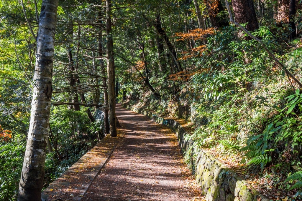 Hiking trail in Mt. Takao, Tokyo