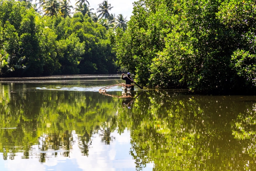 Man kayaking in Bentota River