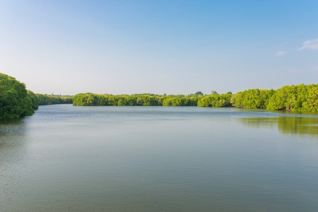 Calm waters of Rekawa Lagoon, Tangalle