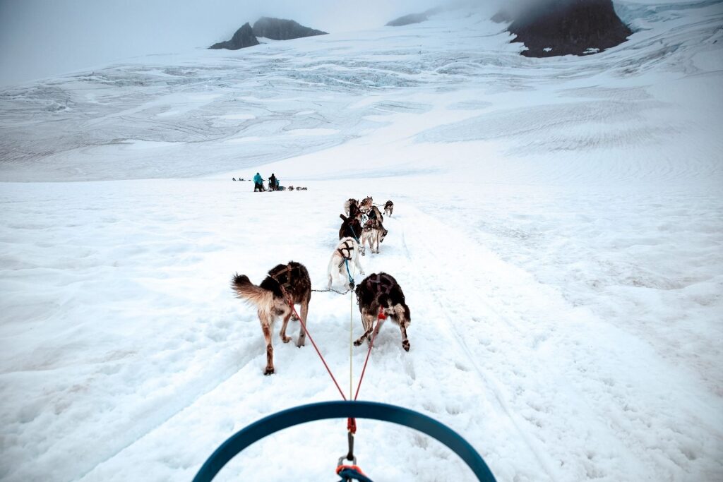 Dog sledding in Alaska