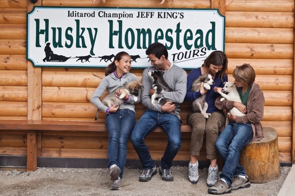 Family petting puppies from Husky Homestead