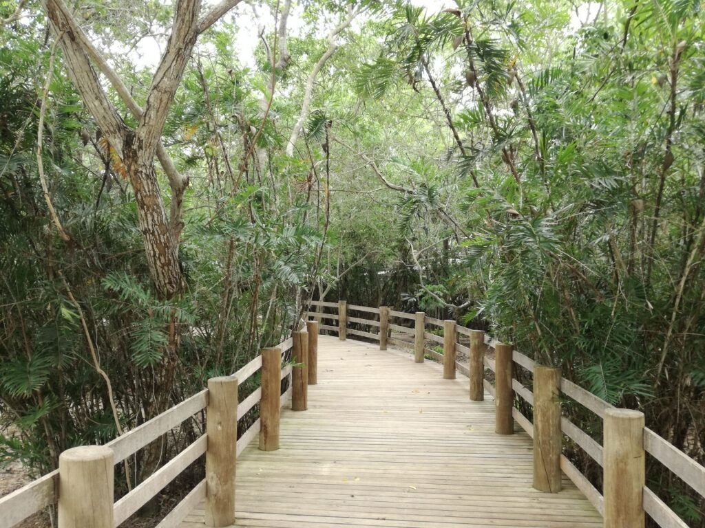 Boardwalk in National Aviary