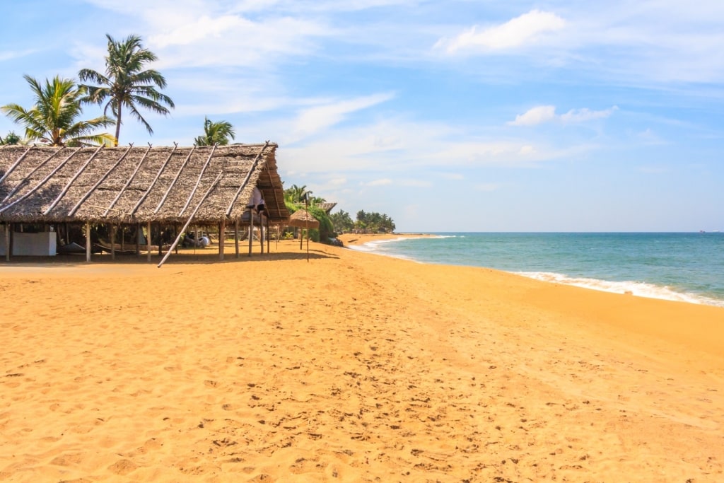 Golden sands of Mount Lavinia Beach, Colombo