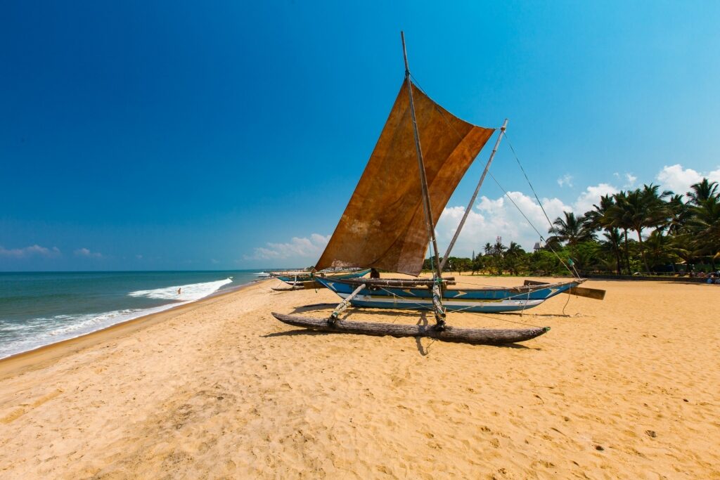 Golden sands of Negombo Beach, near Colombo