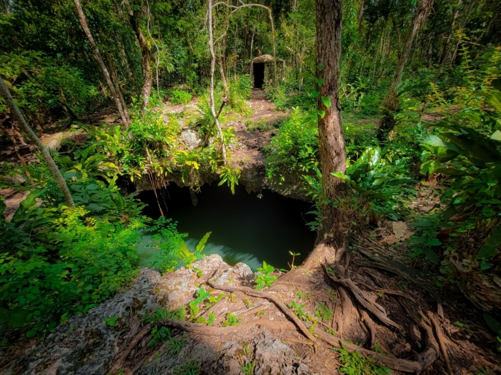 Trail leading to Jade Cavern