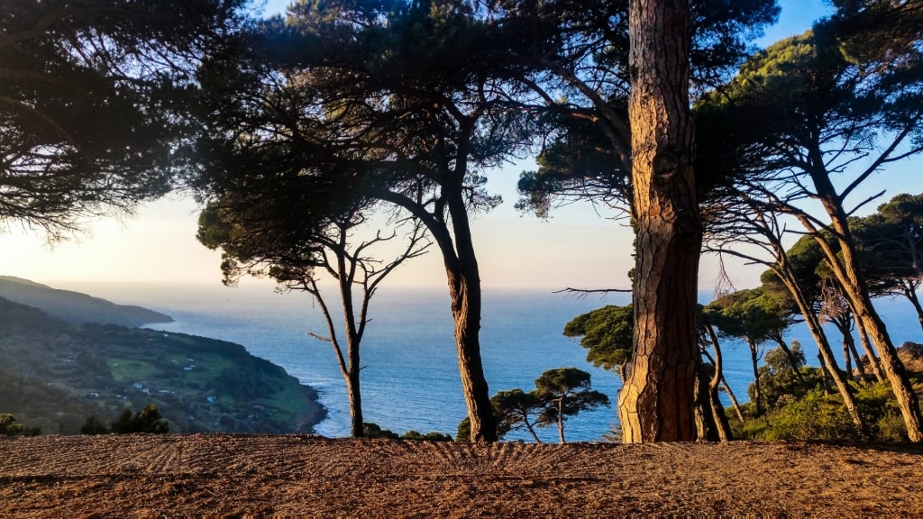 View from Parc Perdicaris