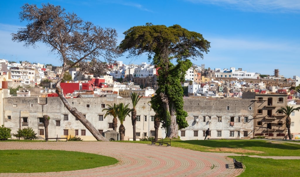 Lush Mendoubia Gardens, Tangier