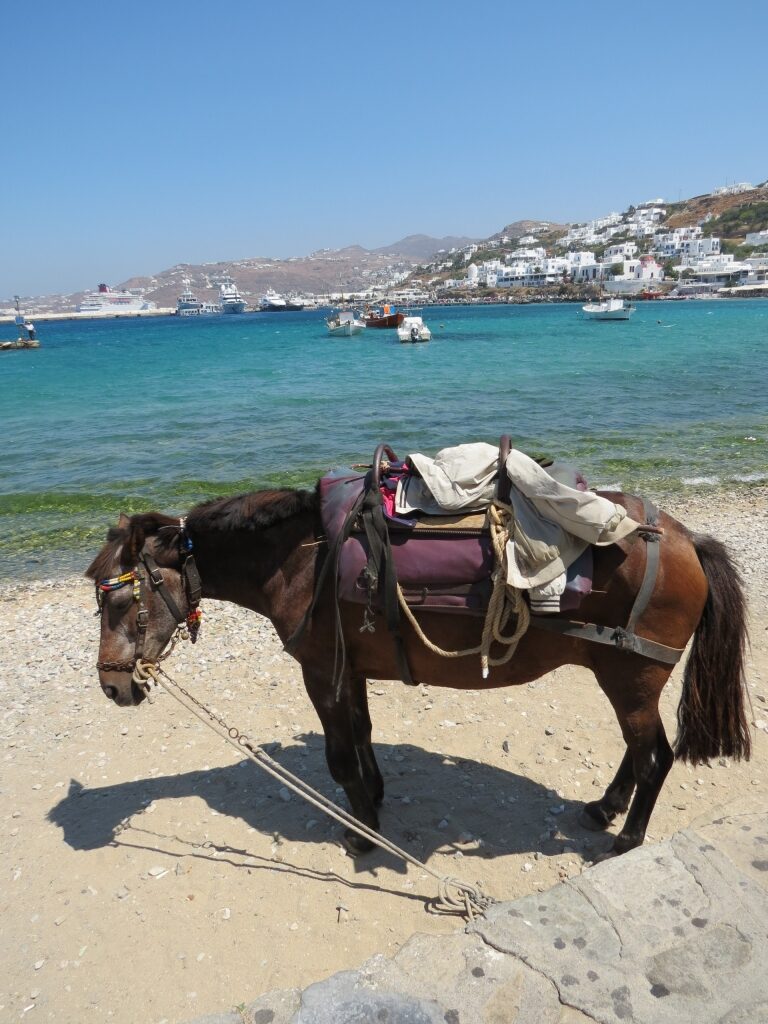 Horse at a beach in Mykonos
