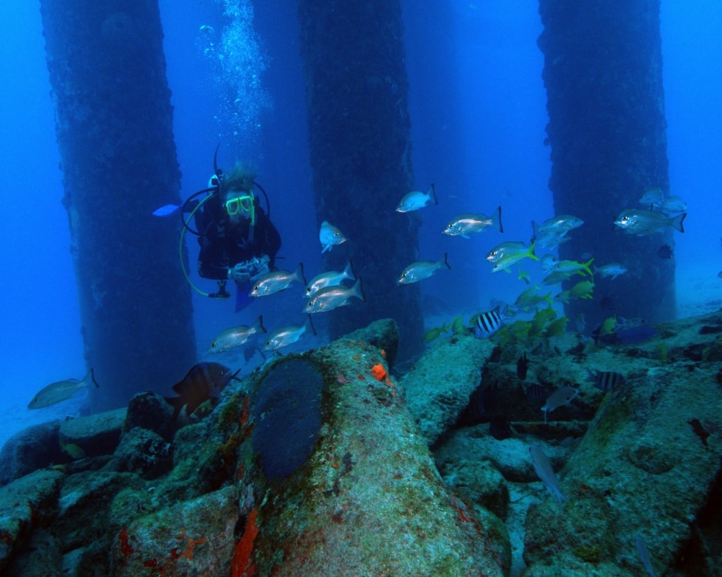 Man scuba diving in Butler Bay