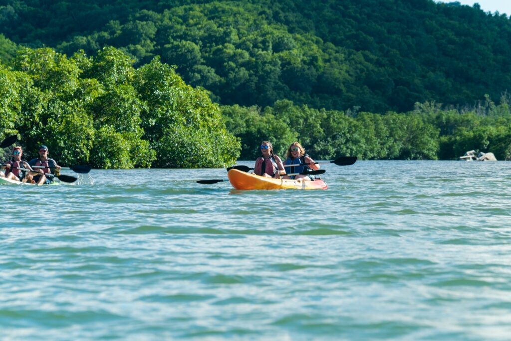 Kayak Salt River Bay National Historical Park and Ecological Preserve, one of the best things to do in St Croix