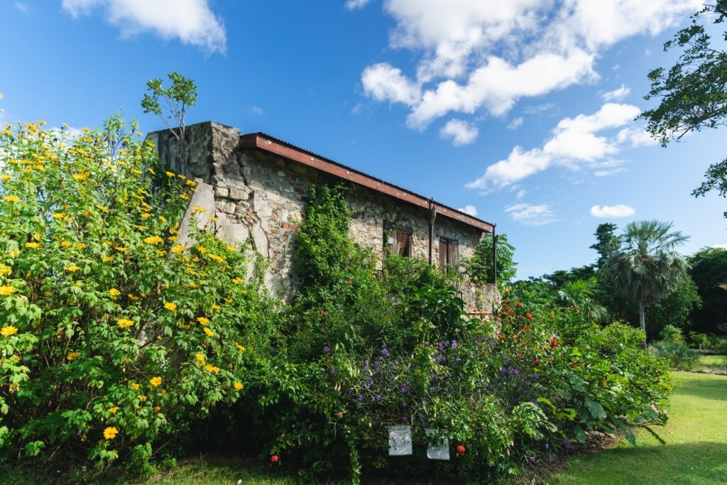 Lush view of St. George Botanical Garden