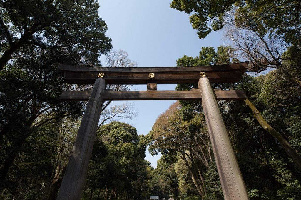 Meiji Jingu Shrine, one of the best torii gates in Japan