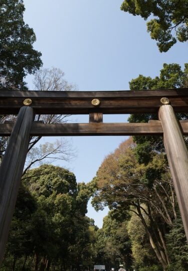 Meiji Jingu Shrine, one of the best torii gates in Japan