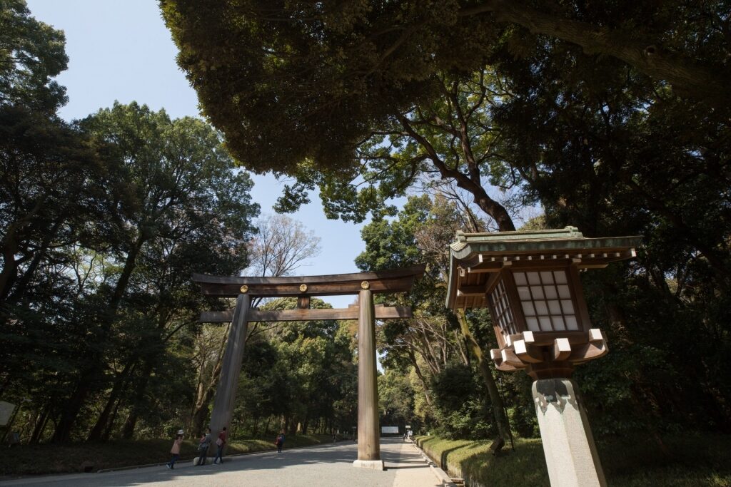 Beautiful view of Meiji Jingu Shrine, Tokyo