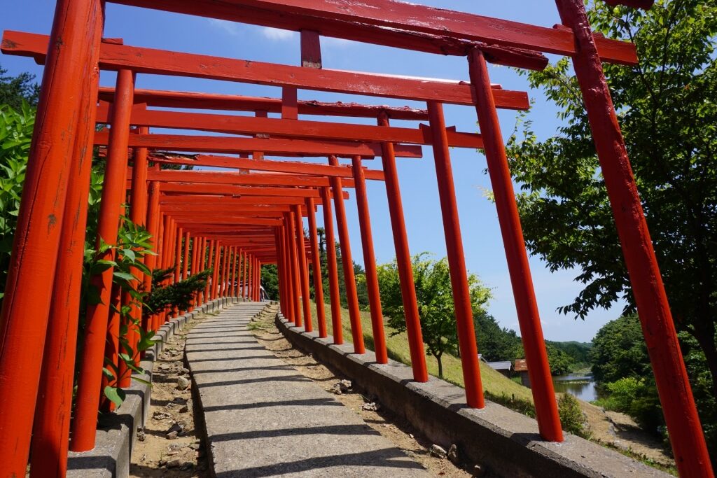 Torii gates lined up in Takayama Inari Shrine, Aomori