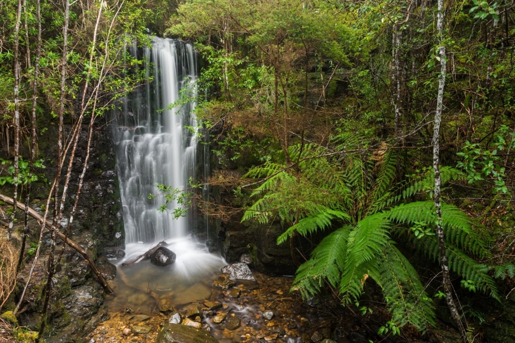 Gorgeous O'Grady Falls