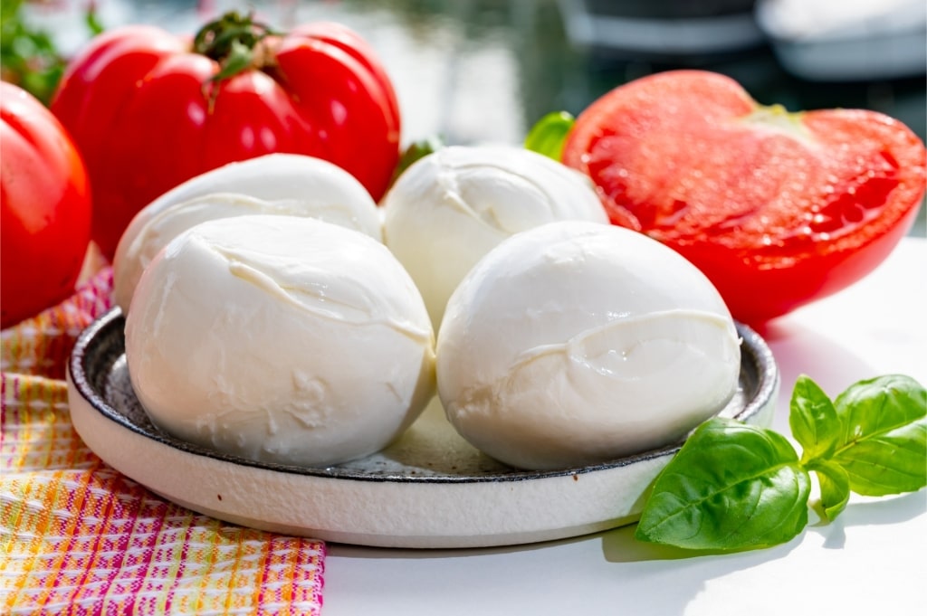 Mozzarella on a plate with tomatoes