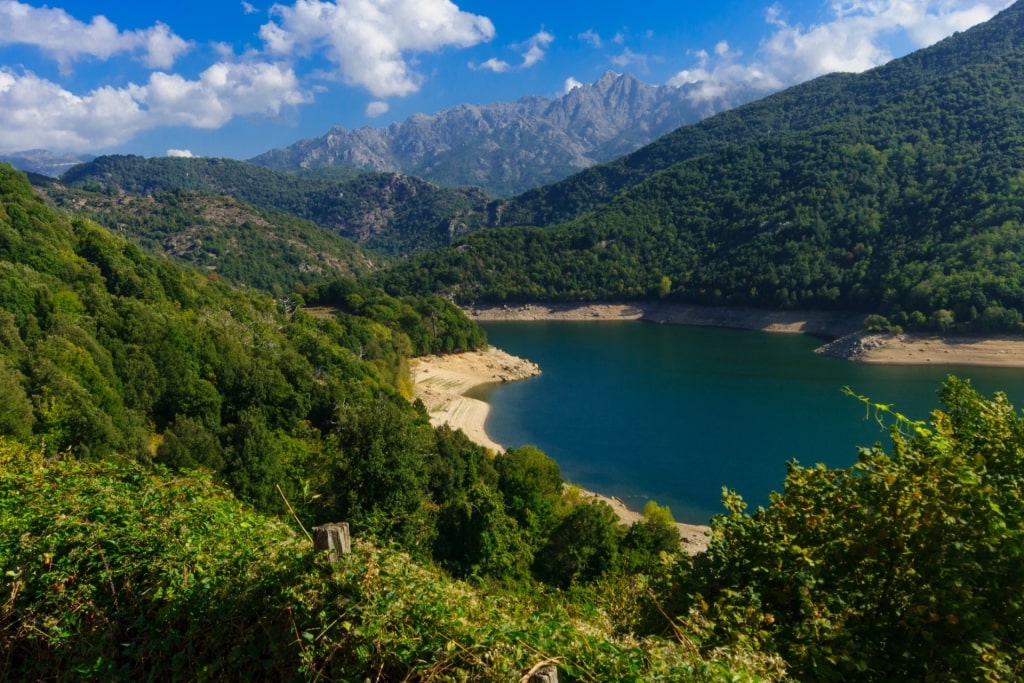 Lush landscape of Prunelli Gorges