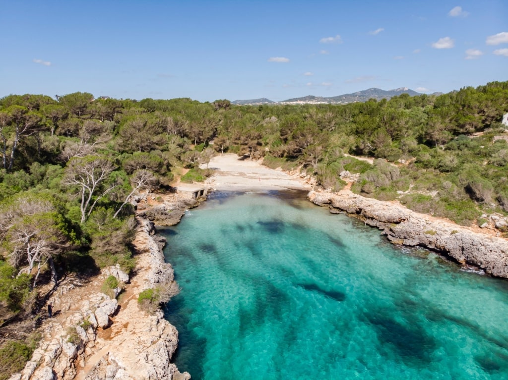 Clear water of Cala Sa Nau